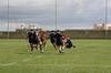 THUMB_IMG_0481.JPG